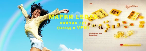 сатива Каменка