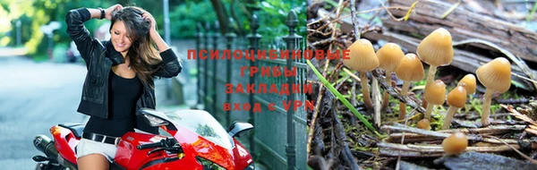 дистиллят марихуана Баксан