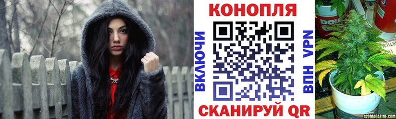 Марихуана сатива Ивангород